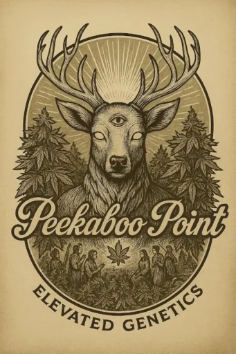 Divine Roots Optimized Tablet