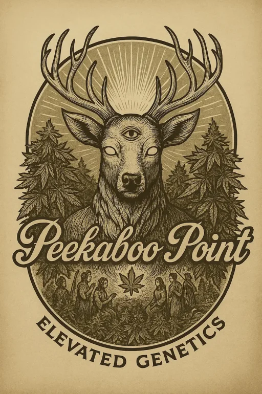 Divine Roots Optimized